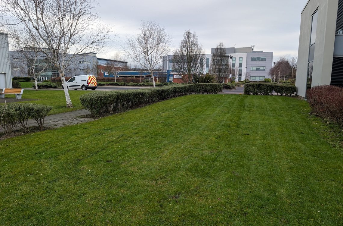 Striped lawn and clipped hedging on a business park frontage
